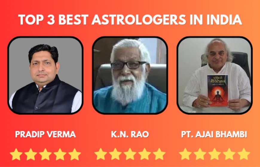 Top 3 Best Astrologer In India