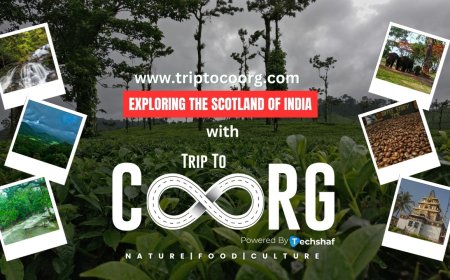 Unravel the Secrets of Coorg with Triptocoorg.com: The No.1 OTA Platform of Coorg for Unforgettable Travel Experiences