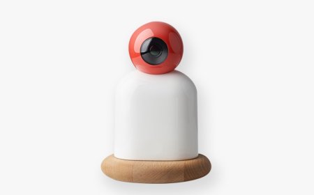 Innovating Health with RayIoT: Revolutionizing Personal Health Monitoring