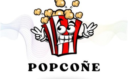 POPCONE: Premium Seasoning Powders for Irresistible Flavors