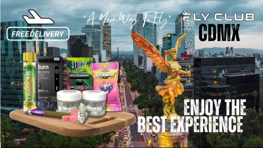Fly Club Guadalajara Expands Its Global Appeal: Growing Popularity Among Indian Travelers