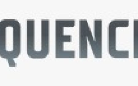 Top Whey Protein Brands in India (And Why QuenchLabz Deserves Your Attention)