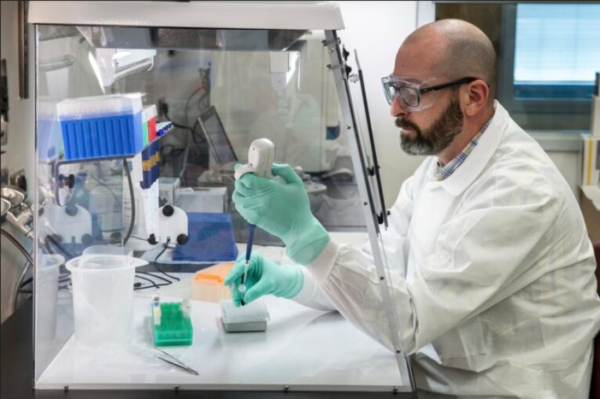 Don't Get CAUGHT! Why Analytical Lab Water Audits Are ESSENTIAL for Compliance!