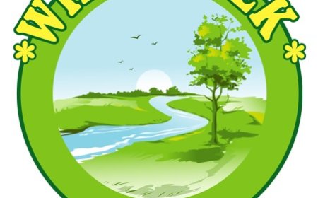 Human Algorithm: Blending AI and Human Clarity for the Future of Digital Strategy