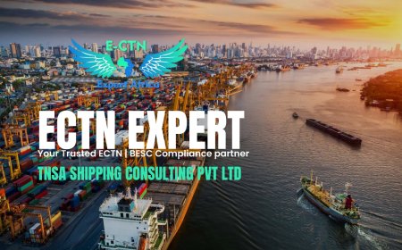 TNSA Shipping Consulting Pvt. Ltd. Strengthens Global Trade with Reliable Cargo Documentation Solutions