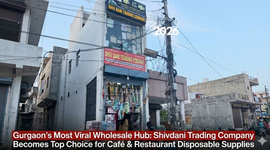 Best Disposal Wholesale Shop in Gurgaon: The Success Story of Shiv Dani Trading Company