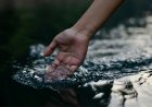 The Art of Water, Why Your Body Deserves Complete Water, Not only Clean Water