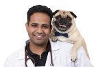 India Will Have 43 Million Pet Dogs Next Year. Most of Them Still Won’t Eat Proper Pet Food.