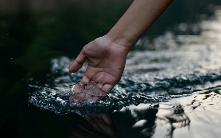 The Art of Water, Why Your Body Deserves Complete Water, Not only Clean Water