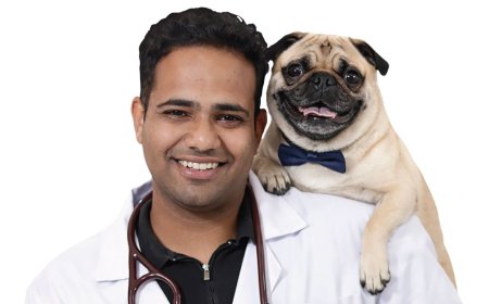 India Will Have 43 Million Pet Dogs Next Year. Most of Them Still Won’t Eat Proper Pet Food.