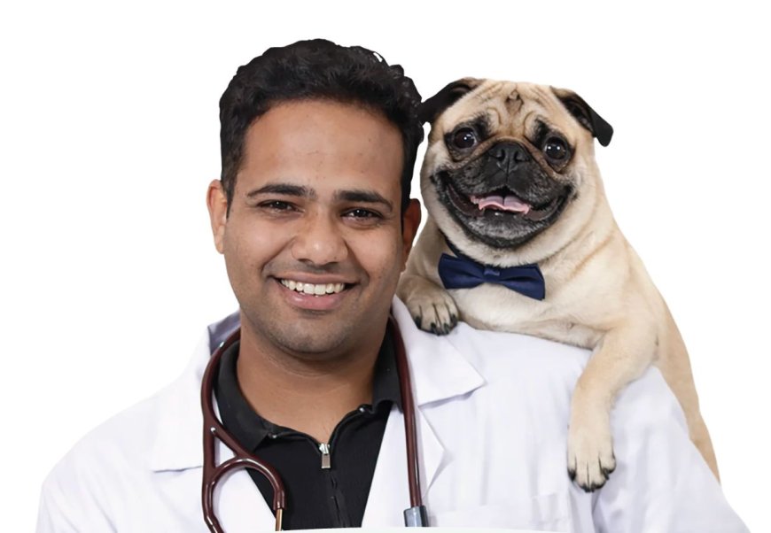 India Will Have 43 Million Pet Dogs Next Year. Most of Them Still Won’t Eat Proper Pet Food.