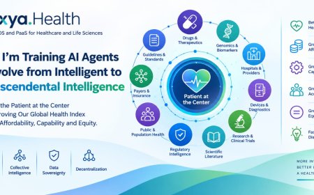 From Data to Better Health Outcomes: The Case for Transcendental Intelligence in Healthcare