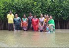 Mangrove Ecosystems: Nature's Living Shield Against Climate Change and Coastal Disasters