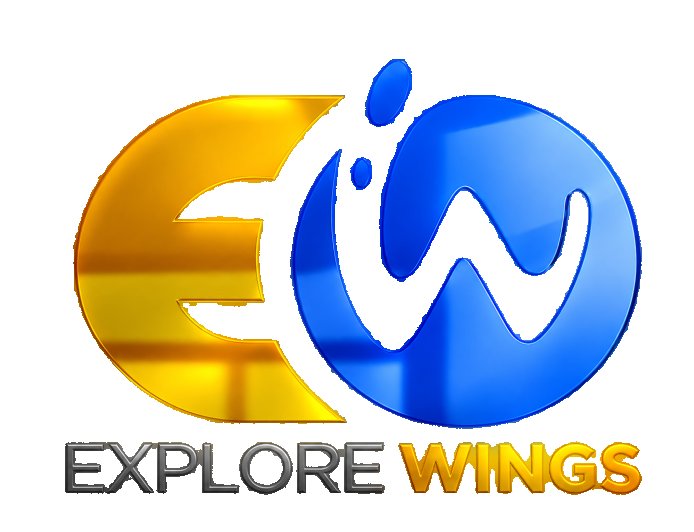 From Starting at 18 to Building a Hospitality Group: The ExploreWings Story